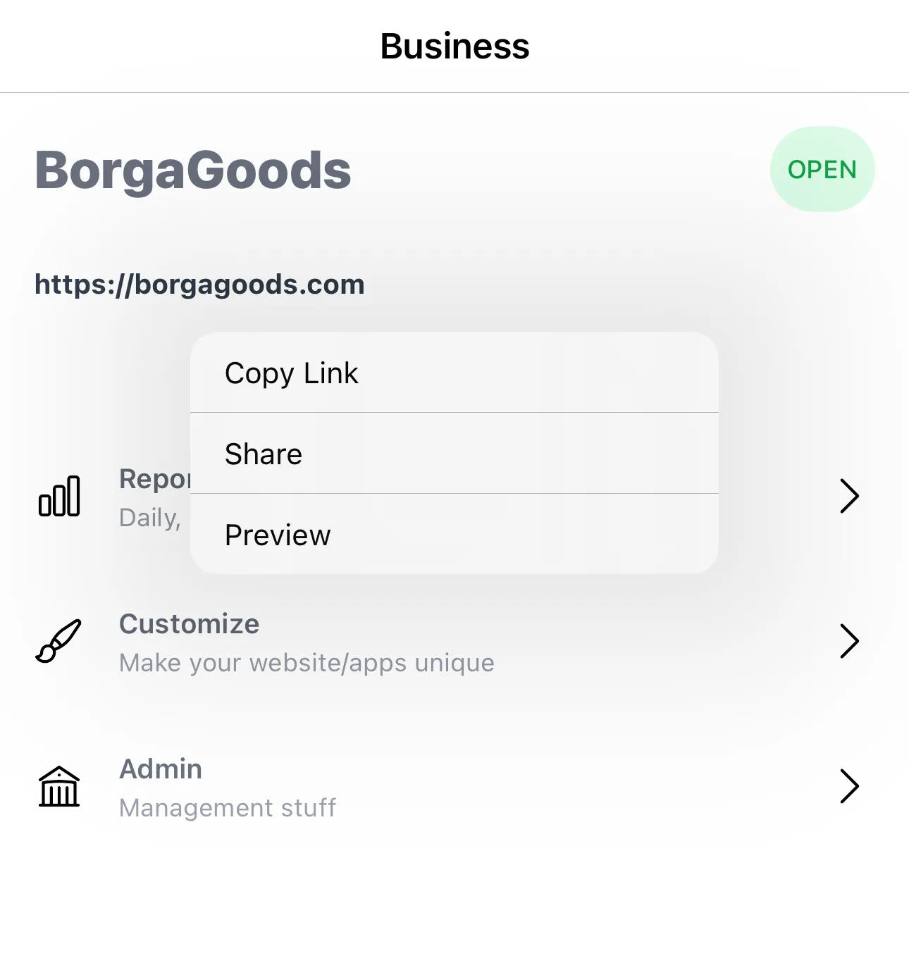 Preview storefront